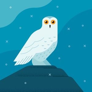 Meet your Posher, Judy